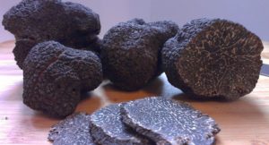 Tartufo nero pregiato
