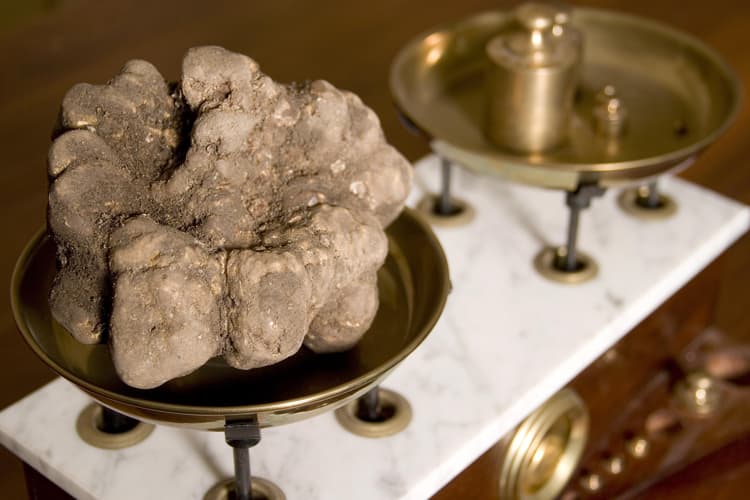 Tartufi: 5 Types of Truffles You Can Find in Tuscany